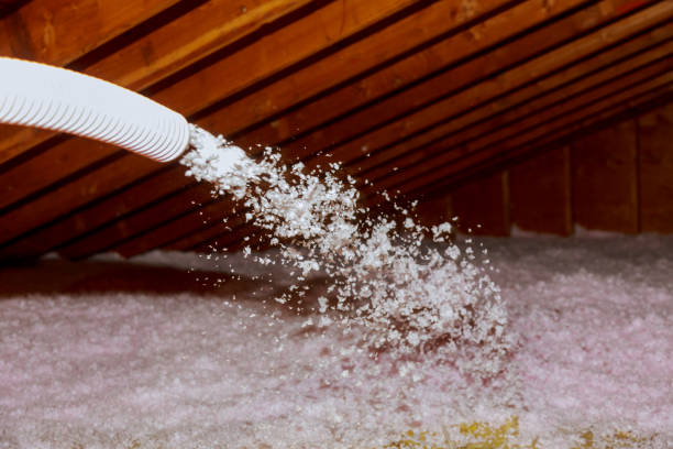Best Eco-Friendly Insulation in Elwood, KS