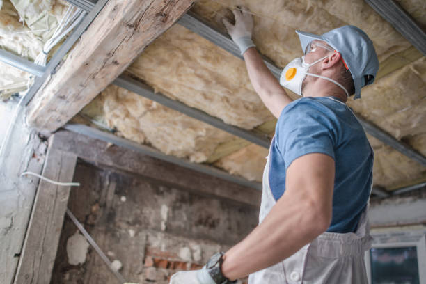 Best Residential Insulation in Elwood, KS