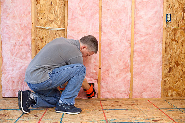 Best Specialized Insulation Services in Elwood, KS
